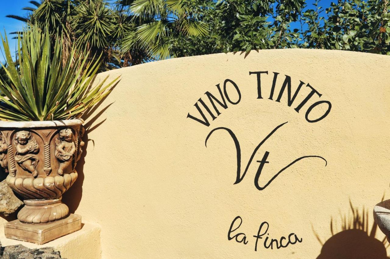 Finca Vino Tinto 5S Icod De Los Vinos Luaran gambar